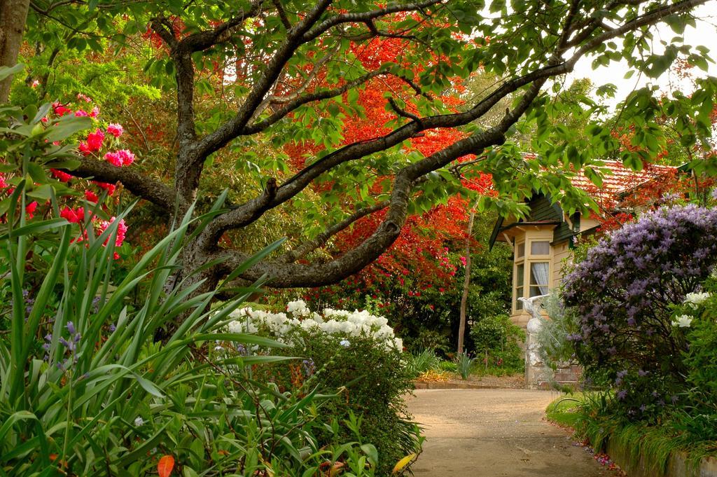 Broomelea Bed & Breakfast Leura Exterior photo